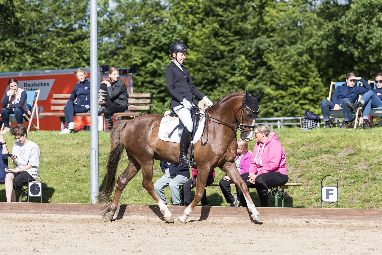 Bild 591 - Pony Akademie Turnier
